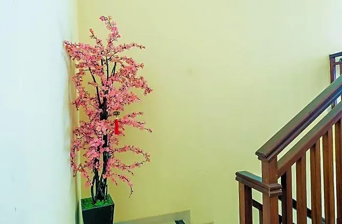 Sakura ホテル